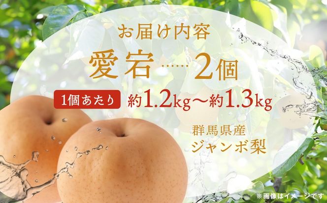 【先行予約】群馬県産ジャンボ梨「愛宕」2個(1個あたり約1.2～1.3Kg)【11月中旬～12月下旬発送予定】ANAH002
