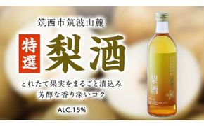 【 特選 】 梨酒 アルコール 15％ （ 500ml × 1本 ） 果実酒 お酒 酒 梨 なし ナシ [DP007ci]