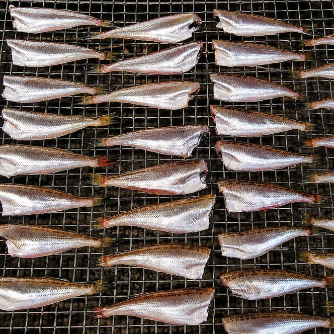 ハタハタ 干物 一夜干し 無頭 約250g×4袋 計1kg 海鮮 干物 おつまみ 肴 ハタハタ 酒 myz02 myz11 myz17