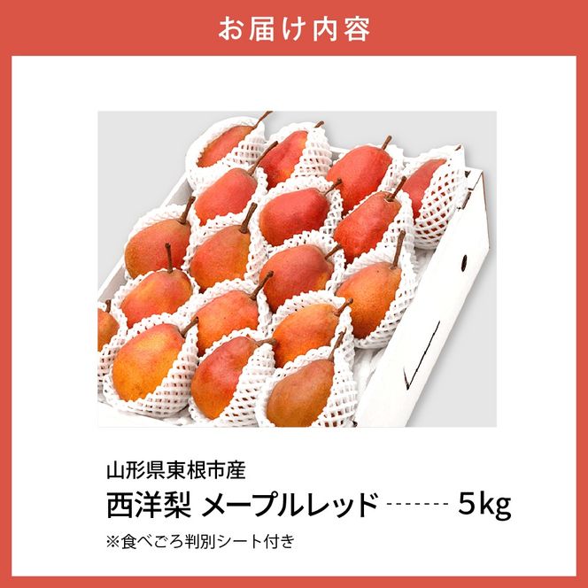 【令和6年産 先行予約】西洋梨メープルレッド5kg　秀品　化粧箱入り 山形県 東根市 東根農産センター提供 hi027-139