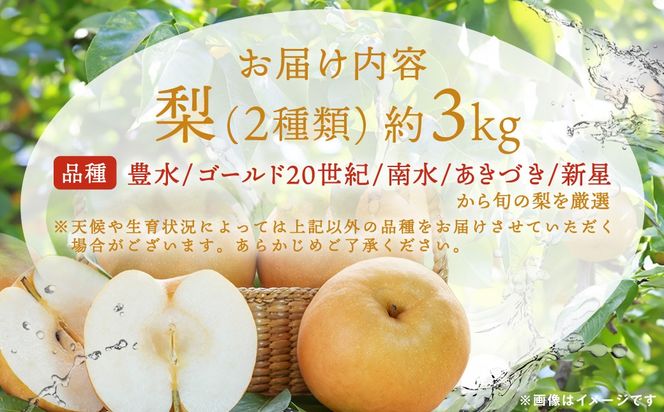 【先行予約】【品種おまかせ】群馬県産「梨」(2種類)約3kg【9月中旬～9月下旬発送予定(9/20～26除く)】ANAH003