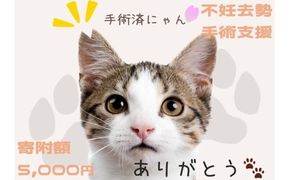 K011 飼い主のいない猫の不妊去勢手術支援～不幸な命を増やさないために～