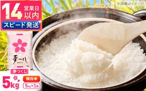 夢つくし精米5kg　《築上町》【酒見食品工業株式会社】 米 こめ 白米[ABER001]