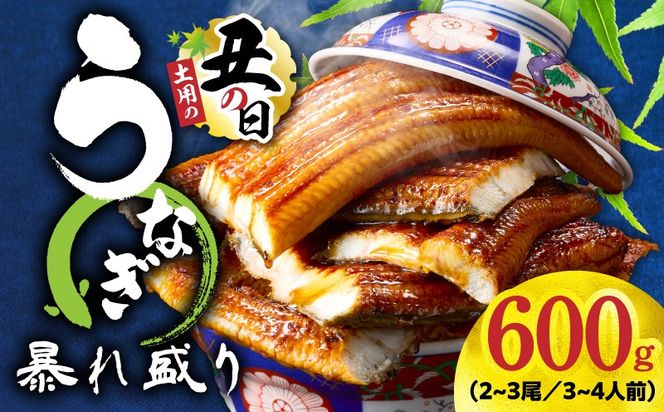 G3615d 【土用の丑の日までにお届け】うなぎ 蒲焼き 暴れ盛り 合計 600g【鰻 真空パック 簡単調理 訳あり サイズ不揃い 人気 惣菜 うな重 うな丼 ひつまぶし にも】