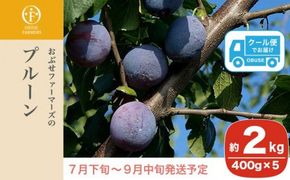 プルーン 約2kg ［おぶせファーマーズ］果物 フルーツ 生プルーン 産地 直送 クール便 冷蔵便 長野県産 信州産 令和7年産 【2025年7月下旬〜9月中旬発送】 ［F-21］