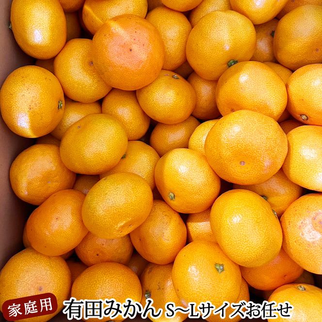 【2026年12月発送】ご家庭用 有田みかん 和歌山 S～Lサイズ 大きさお任せ 約2kg_DZ6100_12