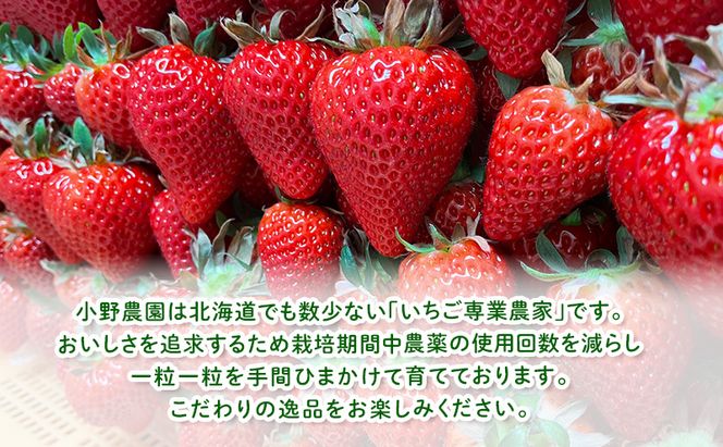 【2026年先行予約】 富良野産 いちご さがほのか 小玉 10～12粒×2パック　［ フルーツ 果物 新鮮 贈り物 ギフト フルーツ 生いちご イチゴ 苺 大粒 甘い 道産 北海道 富良野 ］