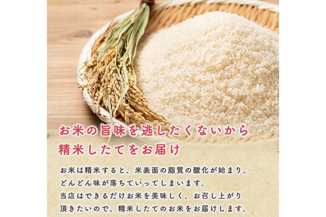 《定期便7ヶ月》令和7年産【備蓄米 無洗米】秋田県産 あきたこまち 20kg（2.5kg×8袋）|23_kml-042007