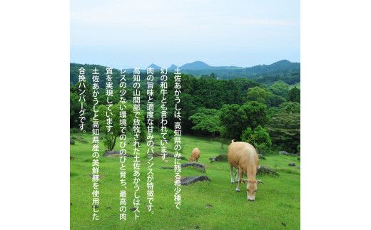 CDM003　 創業50年老舗レストランの幻の和牛あかうしハンバーグ130g×5コ（ソース無し）人気惣菜 数量限定 牛肉 豚肉  故郷納税 10000円 焼くだけ 溢れる肉汁 土佐あか牛 ハンバーグ 小分け 緊急支援品 