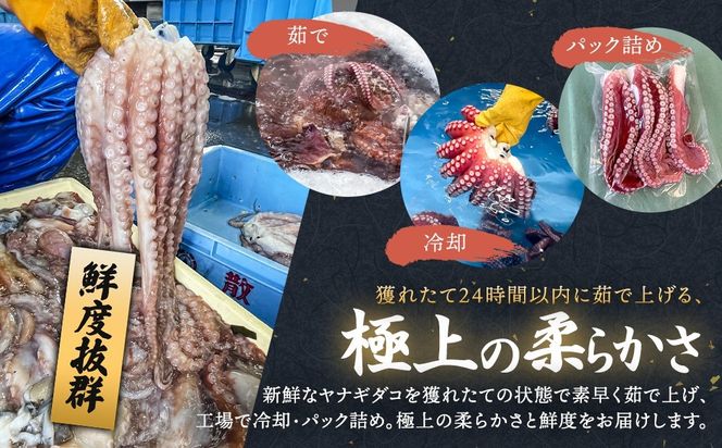 【定期便 12ヶ月連続】ヤナギダコ500g【産地直送】プリプリ食感！釧路町昆布森産 ヤナギタコ 柳ダコ 柳タコ 噛むたびに広がる多幸の旨味 お刺身 鍋 煮物に最適 栄養満点 贈答用 贈答品 にも最適 漁師直送 鮮度抜群 蛸 タコ たこ 足 刺身 たこやき たこ唐揚げ 冷凍 魚介類 海鮮 絶品 人気 カネショウ 北海道 釧路町 釧路超 特産品 121-1260-40