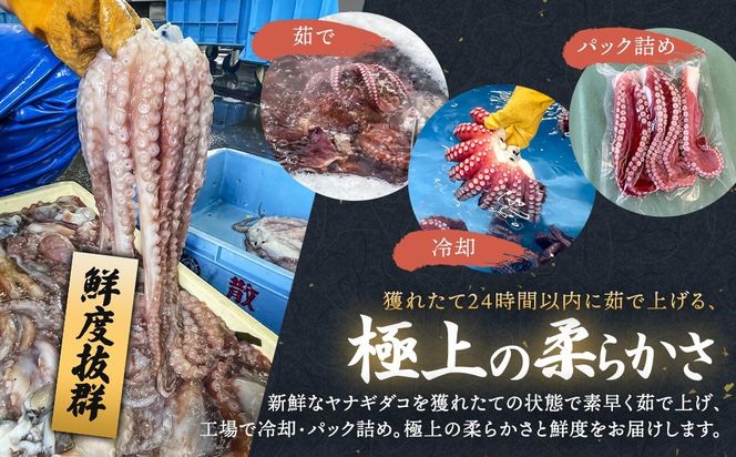 【定期便6ヶ月】ヤナギダコ500g【産地直送】プリプリ食感！釧路町昆布森産 ヤナギダコ｜噛むたびに広がる多幸の旨味 お刺身 鍋 煮物に最適 栄養満点 贈答用 にも最適 漁師直送 鮮度抜群 タコ 蛸 北海道 冷凍 釧路町 釧路超 特産品　121-1260-38