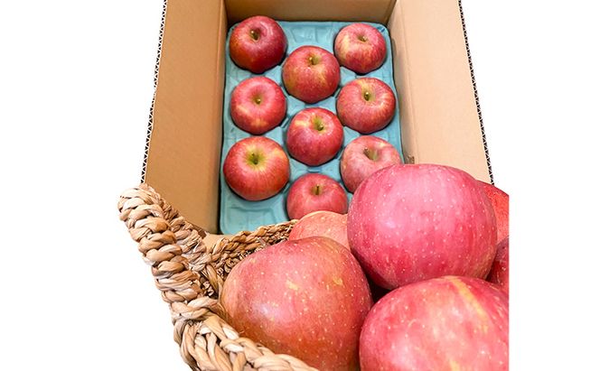 【2026年12月発送】今日を癒すひと玉 私のサンふじ　サンふじ　家庭用　10kg りんご 果物