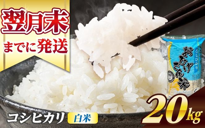 コシヒカリ 白米 20kg / 脇野コンバイン[AECP023-11]