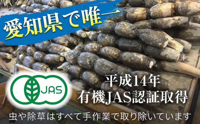 【先行予約】有機JAS認証　土付きレンコン　5kg れんこん 有機栽培　産地直送 野菜　愛西市/株式会社山三レンコン[AEBK004]