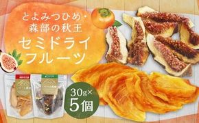 福岡ブランド！とよみつひめ・森部の秋王 セミドライフルーツ5個セット いちじく 無花果 イチジク 柿 かき カキ フルーツ 果物 くだもの スイーツ