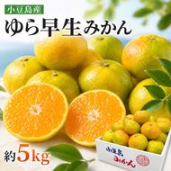 【 小豆島 】小豆島 ゆら早生みかん 約5kg みかん 蜜柑 ミカン ゆら早生 フルーツ 果物 くだもの 国産 香川 香川県 土庄 土庄町