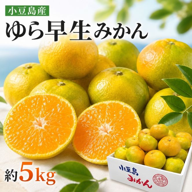 【 小豆島 】小豆島 ゆら早生みかん 約5kg みかん 蜜柑 ミカン ゆら早生 フルーツ 果物 くだもの 国産 香川 香川県 土庄 土庄町