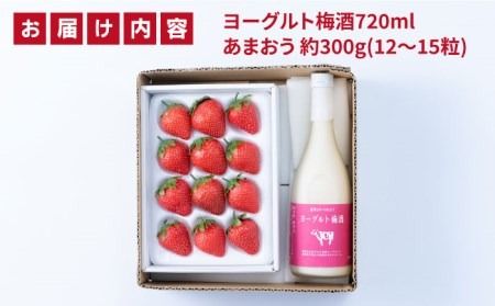 ヨーグルト梅酒720ml×あまおうギフト箱入り （12-15粒） 糸島市 / 南国フルーツ株式会社 [AIK016]