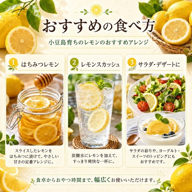 レモン 小豆島 瀬戸内 約3kg 15～30玉 小豆島育ち 島育ち まろやか 酸味 潮風 ミネラル 国産レモン 檸檬 柑橘 柑橘類 果物 フルーツ くだもの 果物類 果実 生鮮 レモネード レモンティー はちみつレモン ギフト 贈答用 五色青果 香川 土庄 香川県 土庄町