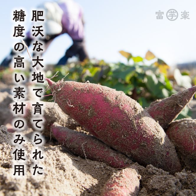 【先行予約】 12月以降発送 干し芋屋のさつまいも 熟成 紅はるか 生芋 10kg 無添加 無着色 茨城県産 サツマイモ 土付き 芋 さつまいも さつま芋 薩摩芋 紅遥 べにはるか