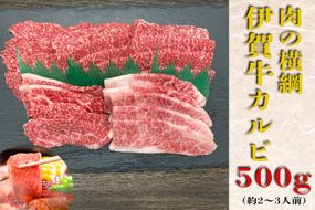 伊賀牛 カルビ焼肉 約500ｇ 242161_AZ068