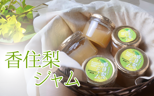 【香住梨ジャム 140g×5個】 香住産 梨 甘み ジャム 二十世紀梨 新興 豊水 ラフランス 防腐剤・化学調味料なし 無添加 ヨーグルトソース 朝食 和梨 なし ナシ 兵庫県 香美町 香住 仙古屋 senco-ya 42-09