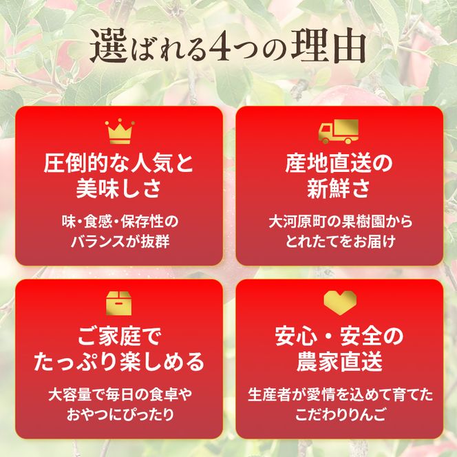 人気No.1 りんご ふじ 10kg 果物 フルーツ 先行予約 単品 定番 宮城県 大河原町 リンゴ 林檎 くだもの 大容量 送料無料