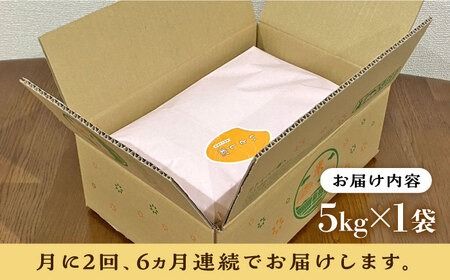 【月2回お届け】【全12回定期便】いとし米 厳選ひのひかり 5kg 6ヶ月コース(糸島産) 糸島市 / 三島商店[AIM040] 白米米 白米お米 白米ご飯 白米ひのひかり 白米ヒノヒカリ 白米九州 白米福岡 白米5キロ 白米ギフト 白米贈り物 白米贈答 白米お祝い 白米お返し 白米定期便