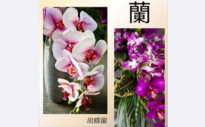 上質 胡蝶蘭アレンジメント ファレノ フェイクグリーン ラン オーキッド  お洒落 オフィス装花 玄関インテリア かっこいい 高級感 贈答花
