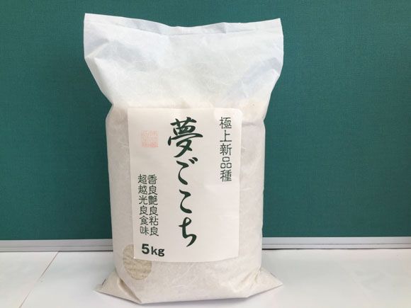 【7年産】近江米夢ごこち【5kg×1袋】【T034W3】