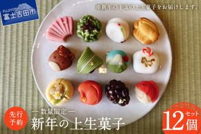 【先行予約・数量限定】新年の上生菓子 12個セット 【年内配送】 【2025年12月25日発送予定】 和菓子 上生菓子 新年 干支 生菓子 菓子 山梨 富士吉田