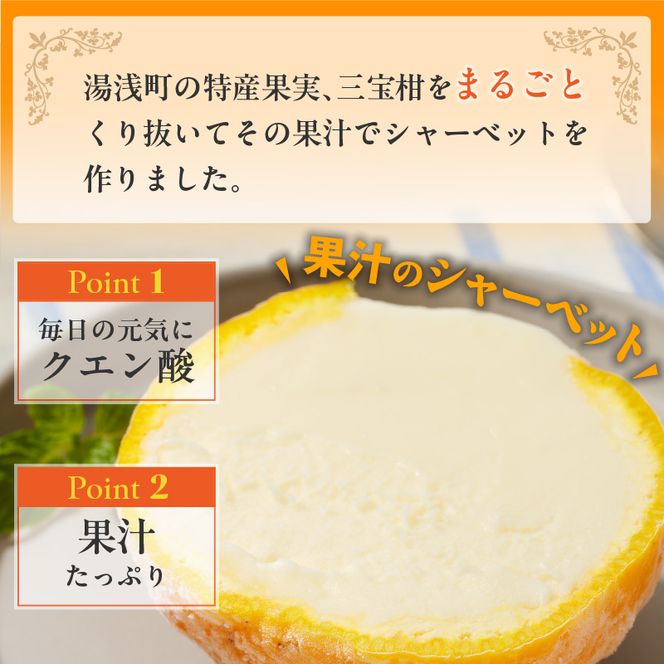 【ギフト用】まるごと 三宝柑 シャーベット 5個 セット_ZP6009_GFTn