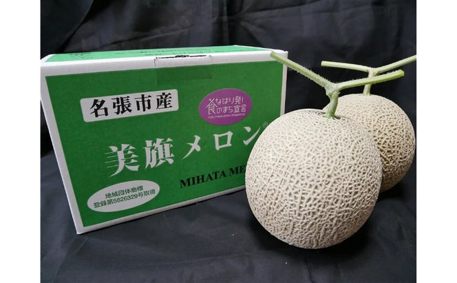 希少品　特選　美旗メロン　2L（青）2玉