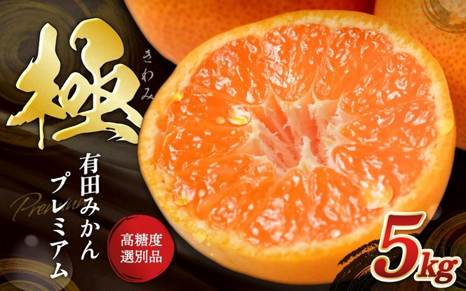 《極》 有田みかん 「プレミアム」 約5kg【選りすぐりの上位20％をお届け！】2S～Lサイズ 有機質肥料100% ※2025年11月下旬～2026年1月上旬頃順次発送 ※北海道・沖縄・離島への配送不可 / ミカン 蜜柑 柑橘 フルーツ くだもの 果物 温州 有田 甘い 高級 贈答品 贈り物 新鮮 【nuk155F】
