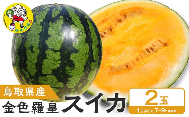 【先行予約】鳥取県北栄町産 金色羅皇スイカ(2玉セット)１玉あたり7-9キロ前後（こちらの返礼品は、大栄西瓜ではありません） 313726_CK010