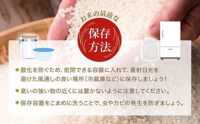 【令和8年産 先行受付】しきゆたか 白米 10kg