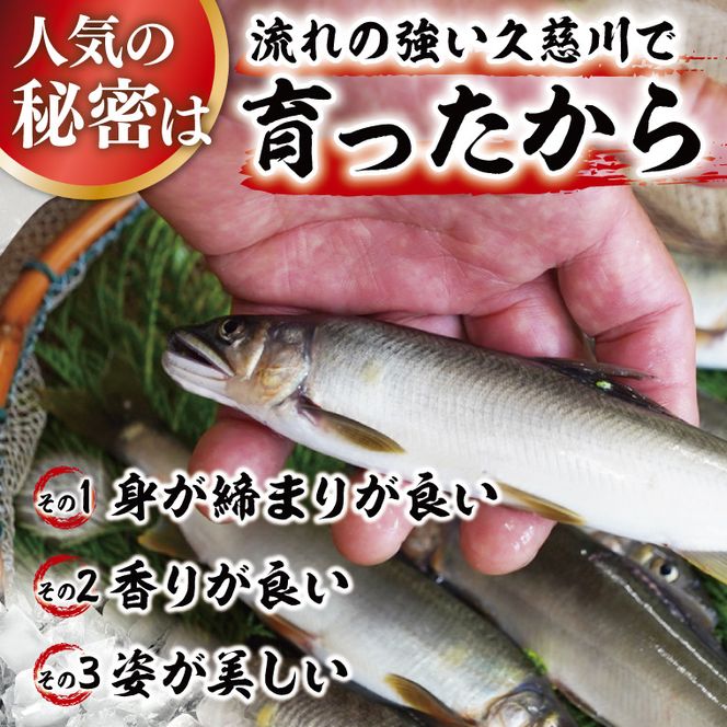 【夏季限定】清流 久慈川 天然鮎 6～7匹｜茨城県 大子町 あゆ 魚 川魚 冷凍（AA001）