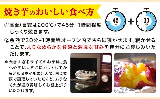 【先行予約】タカハマ観光農園 の 紅はるか 選べる 約3kg or 約5kg Sサイズ《1月上旬-5月末頃出荷》熊本県 大津町 さつまいも さつま芋 芋 スイートポテト 干し芋 焼き芋---oz_thm_12_3kg---