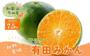 【先行予約】ご家庭用青切り有田みかん　約7.5kg+200g(傷み補償分)【2026年9月中旬～10月上旬頃に順次発送予定】【ard146B】