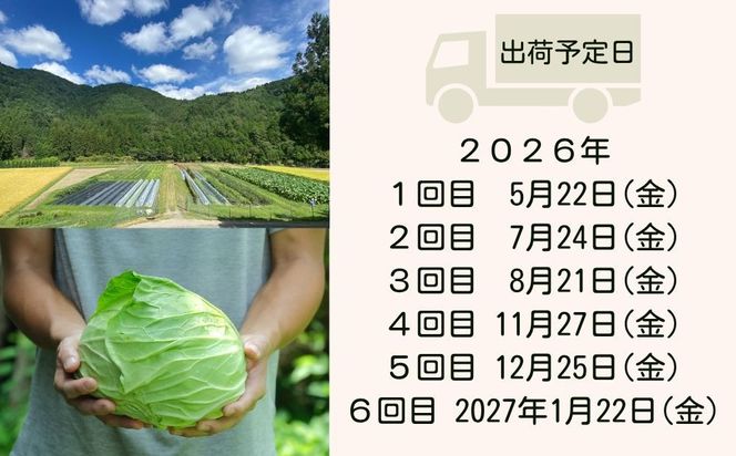 ＜定期便6回＞【よしだのはたけ】旬の野菜8品 やさいBOX｜京都 京北 農家直送 野菜 人気セット [ 旬のお野菜 新鮮 おまかせセット 美味しい 産地直送 野菜詰め合わせ 野菜セット 野菜定期便 人気 おすすめ ギフト プレゼント お取り寄せ 通販 送料無料 ふるさと納税 ] 261009_B-XZ02