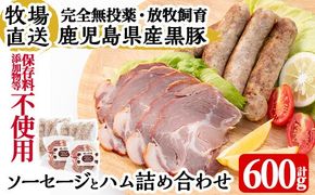 a829 月ノ灯牧場直送！保存料・添加物等不使用の鹿児島県産黒豚ソーセージとハム詰め合わせ合計600g(ソーセージ200g×2p・ハム100g×2p)完全無投薬・放牧黒豚のソーセージとハムをお届け【pig village company】