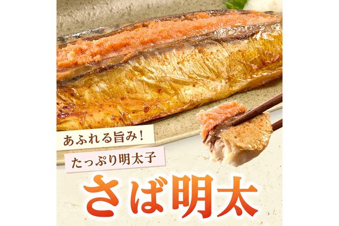 【B4-043】さば明太 9尾