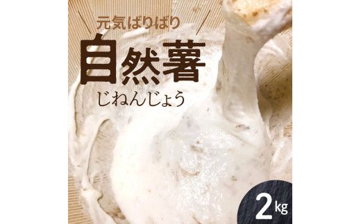 元気ばりばり　じねんじょう　自然薯　N020-YB354