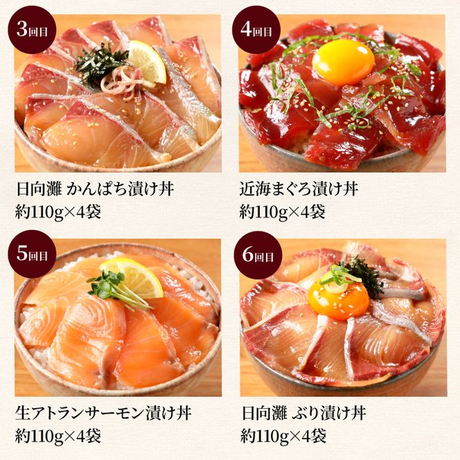 日向灘 海鮮丼 漬け丼 お魚の漬け丼 バラエティ7回定期便　N019-YF072