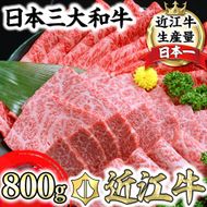 【2月末までに発送】【げんさん】近江牛A5ランク焼肉・すき焼セット【800g】【DG11W-2m】