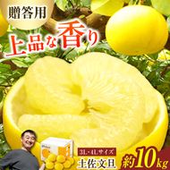 【先行予約】＼果樹園直送／贈答品 土佐文旦 約10kg  大玉 4L～3Lサイズ (13～18個入り)〈2027年2月中旬～3月中旬頃発送〉 高知県 土佐市【白木果樹園】 [BQAI004]