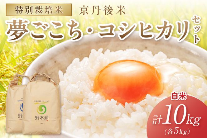 2026年産 京丹後米 特別栽培米夢ごこち＆丹後コシヒカリ 各5kg（白米） 農家直送 米 こめ ふるさと 納税 米 精米 新米 京都産　NO00037