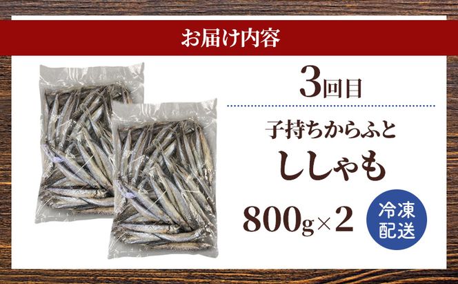 赤平市 ふるさと 定期便 岡田水産 おつまみ満喫セット 3カ月連続お届け　おかず おつまみ 揚げ物 魚貝類 干物 加工食品