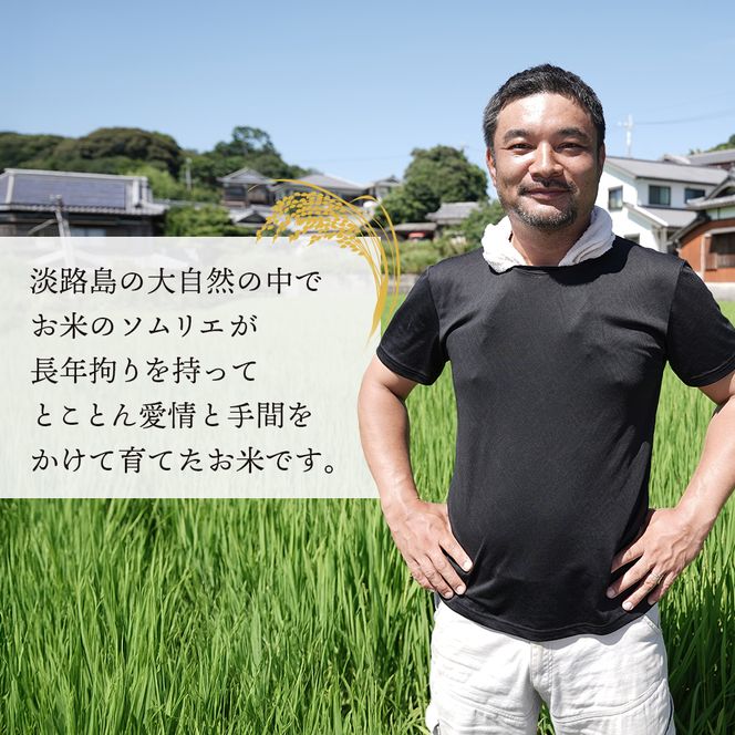【定期便】野添農園のコシヒカリ 5kgｘ12ヶ月「ひょうご安心ブランド」　[精米 白米]