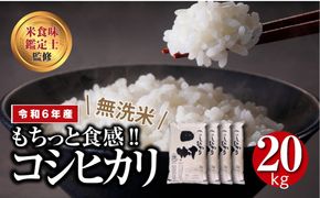 ＼ 年内発送 12/24(火)決済完了分まで！／【 新米 】【 無洗米 】 令和6年産 田村産 コシヒカリ 20kg ( 5kg × 4袋 ) 先行予約 精米 白米 贈答 ギフト プレゼント 美味しい 米 kome コメ ご飯 ブランド米 精米したて お米マイスター 匠 食味鑑定士 福島 ふくしま 田村 安藤米穀店